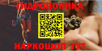 mdpv Гусев
